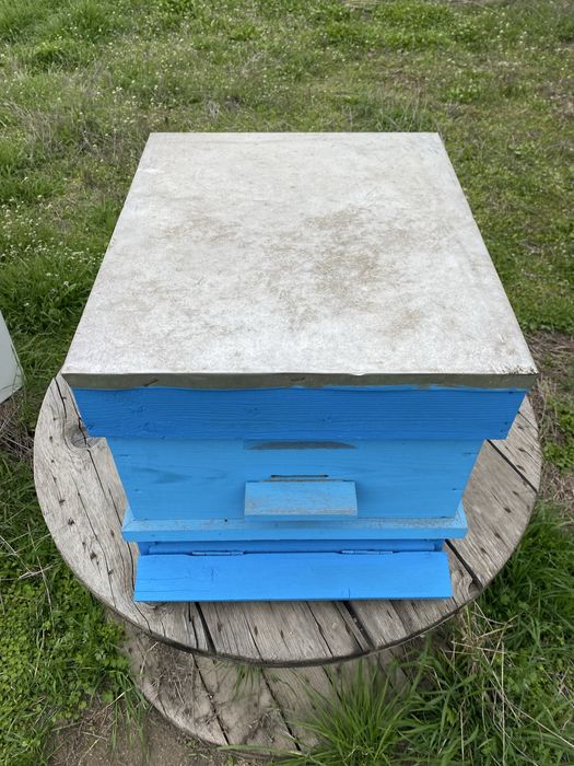 Продавам 10бр кошери Рут 10 рамкови