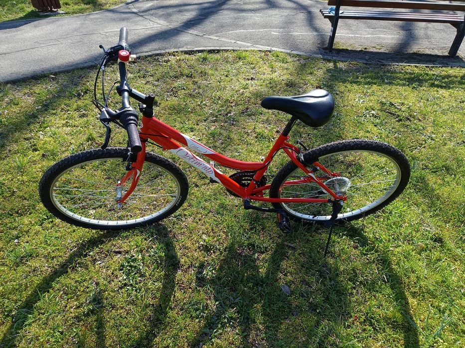 Bicicleta pentru plimbare