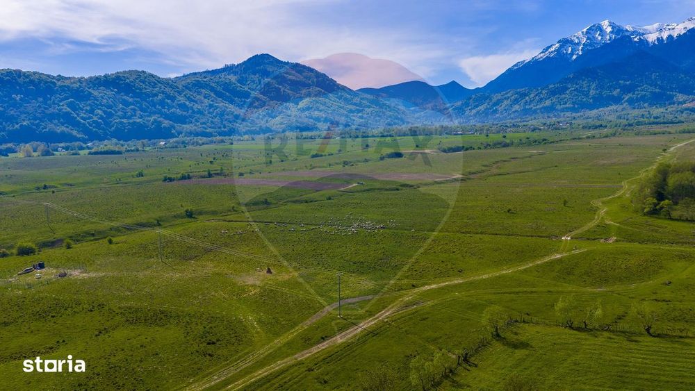 Teren 1ha, extravilan Rasnov / Agricultură sau fermă/ COMISION 0%