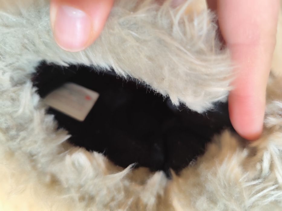 Ghete The North Face