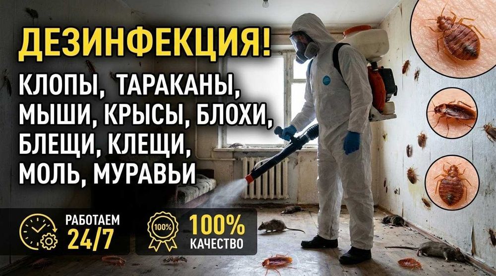 Дезинфекция! СкИдКа! Обработка тараканы мыши клещи клопы блохи муравьи