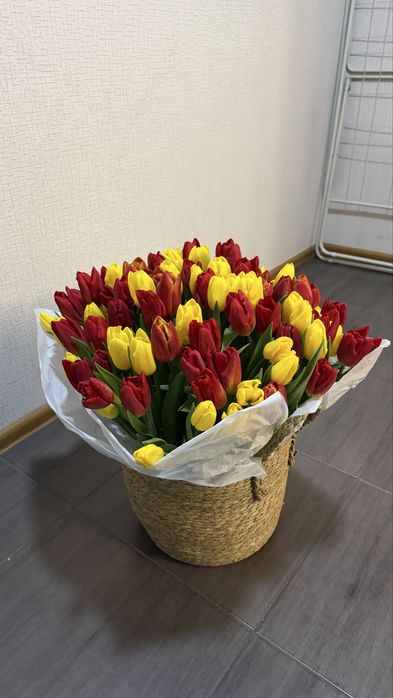 101 тюльпан свежий
