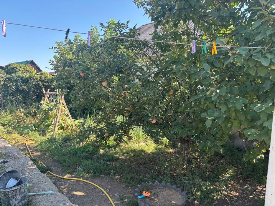 Продам дом и помещение срочно