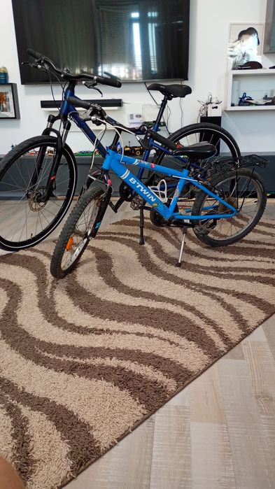 Bicicleta  polivalenta Riverside 500