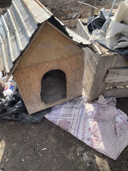 Продам бутку для собаки