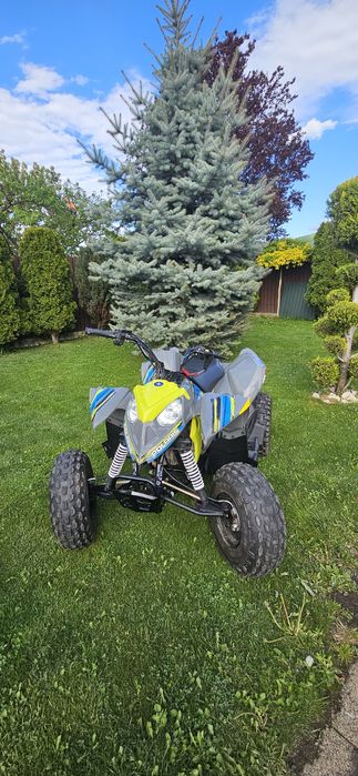 Polaris Outlaw 110