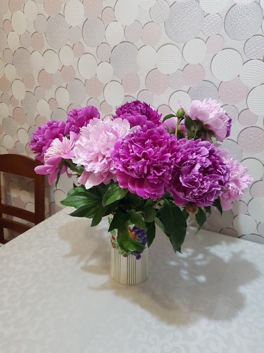 Цветы садовые и комнатные