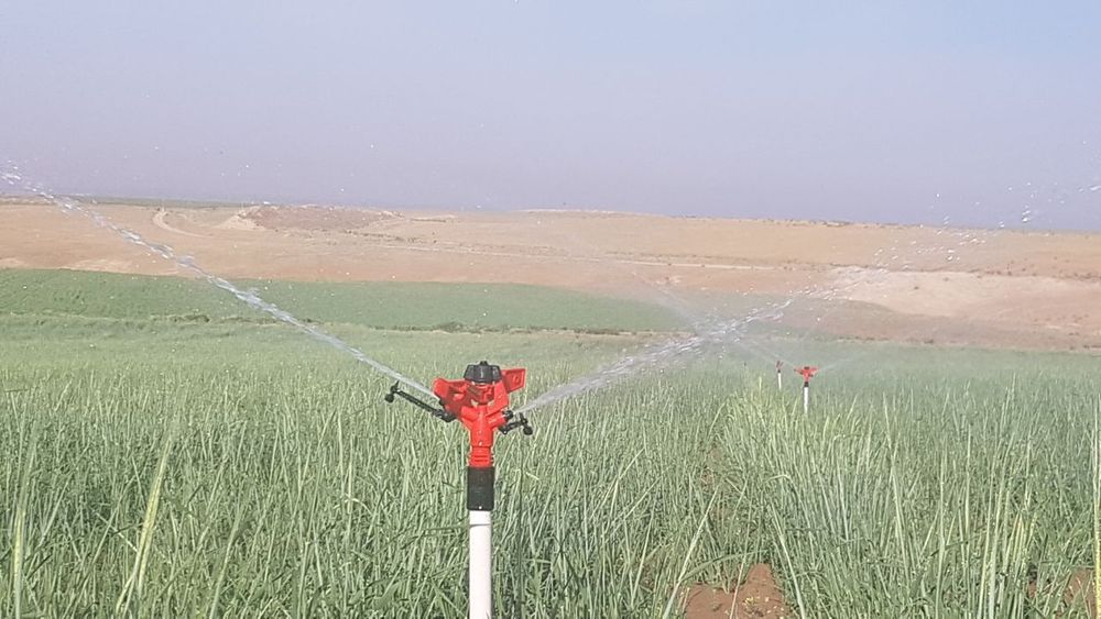 Rus onalar porno tube