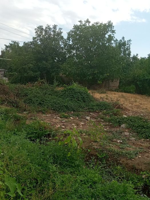 Участок в Таразе