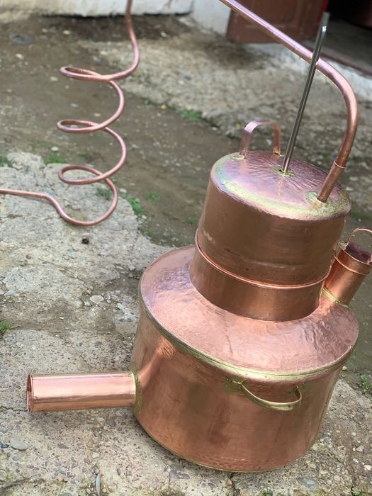 Cinfectionqm cazane pe cimanda