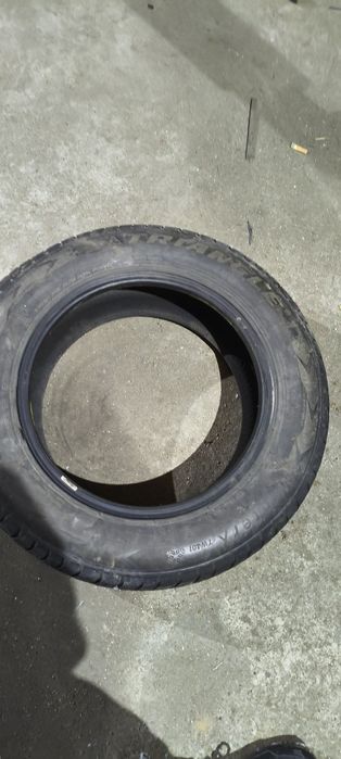 195/65/15 triangle winterx