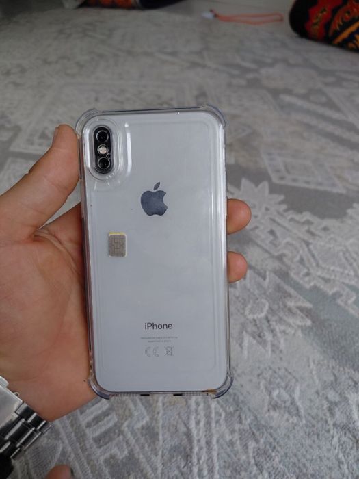 iPhone X 256/100%
