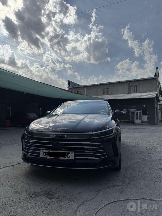 BYD Chazor Full 2023