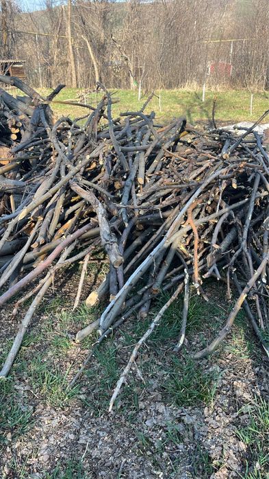 Продам дрова яблони