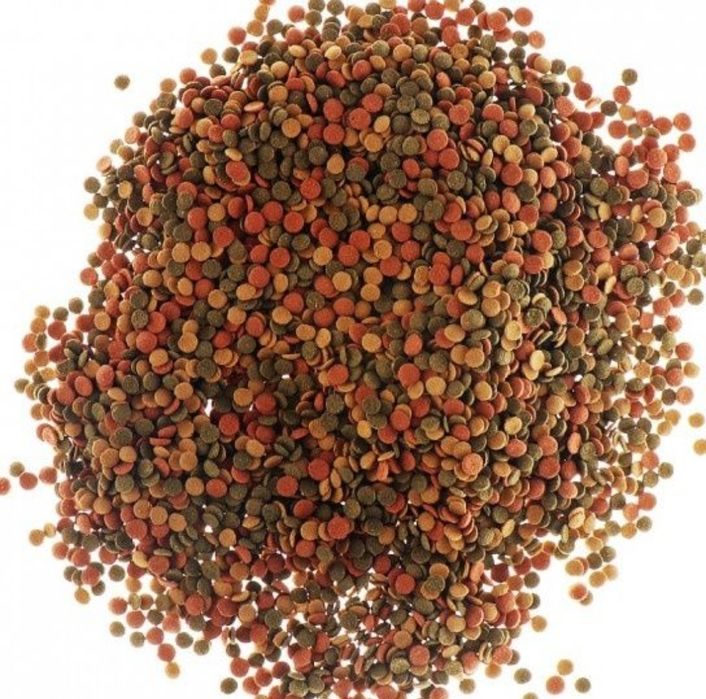 Храна за дънни риби и безгръбначни