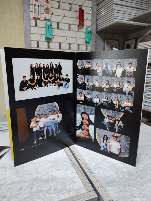 Винетки качечтвенные