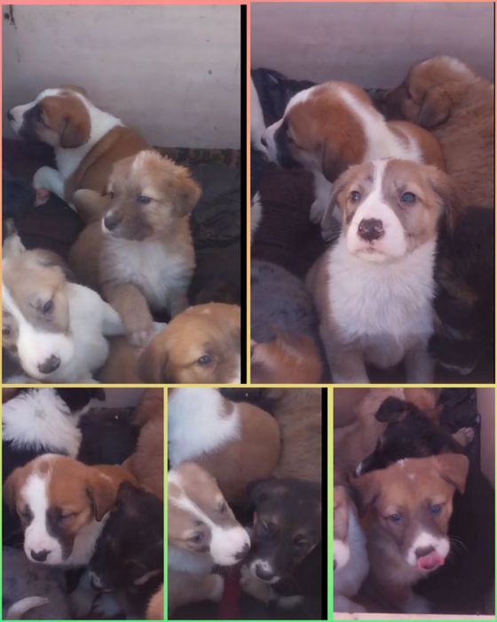 Малышам очень нужен дом и семья!