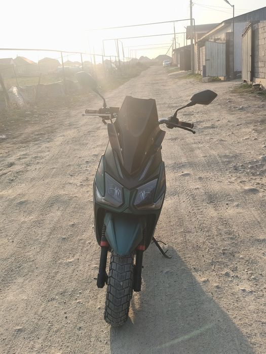 Лия Самурай 165куб