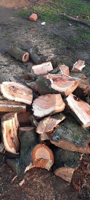 Lemne pentru foc  din livadă