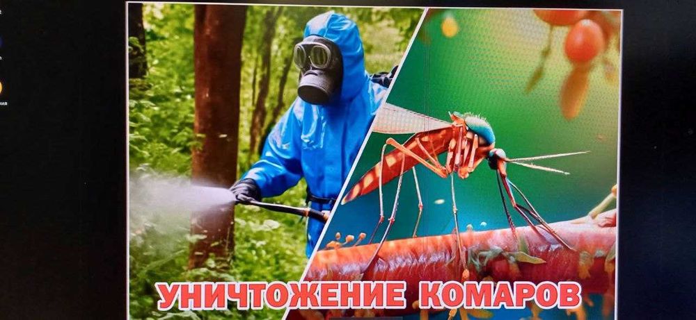предоставляем услуги обработка от комаров