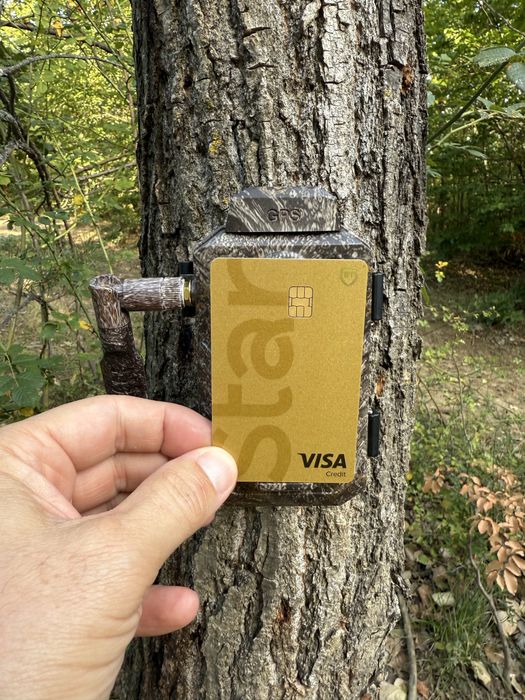 ForestCamLive F6G GPS Temperatura Camera live