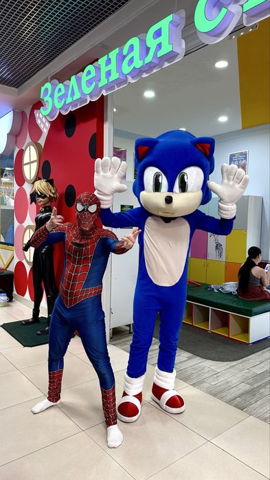 Аниматор Соник, поздравление, прокат