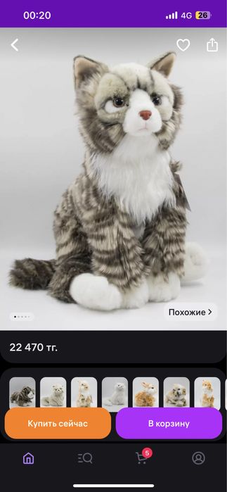 Кошка Leosco продаю оригинал