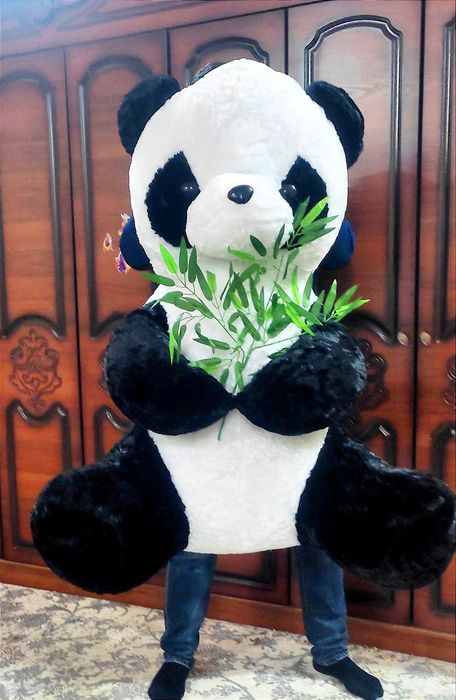 Teddi Teddy ayiqchalar (30sm 3metrgacha)