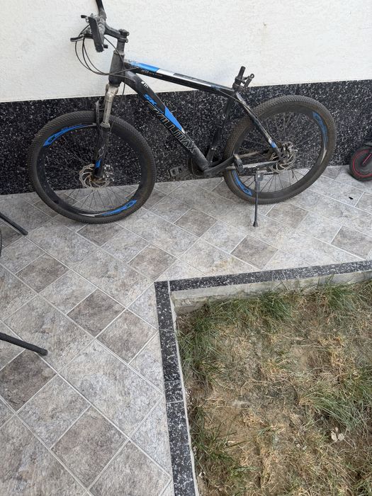 Скоросной велие