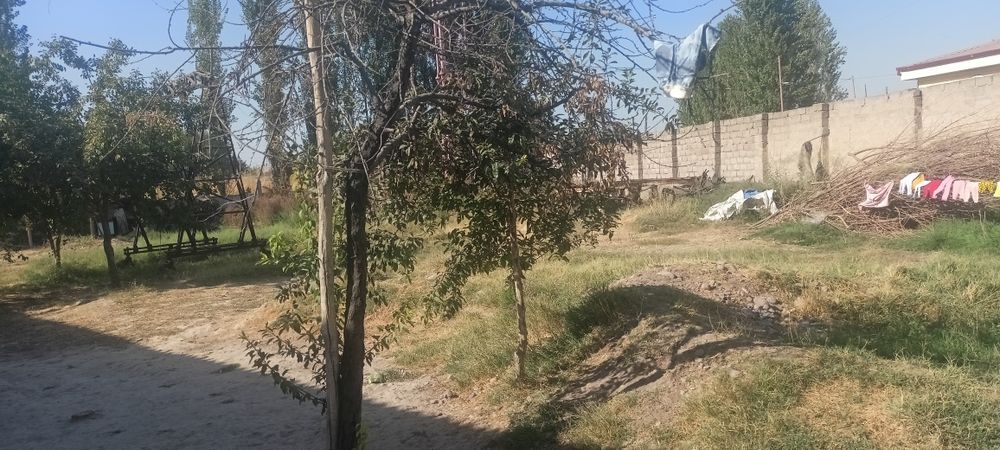 Уй сотилади Нурафшон Амфитеатр Оркасида