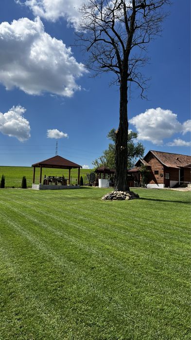 Casa de vanzare Triteni