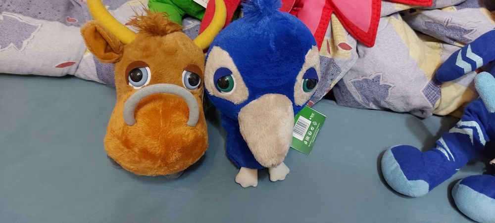 Plusuri paun si vacuta