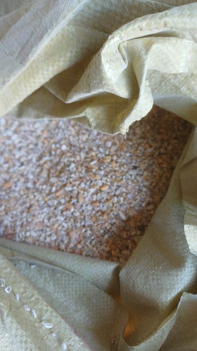 Продам кукурузу сечка