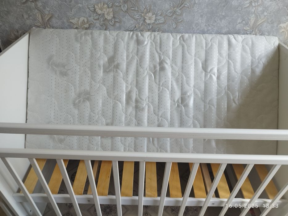 Манеж сатамын ұсталған таза