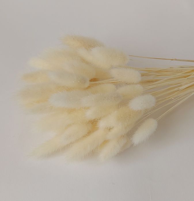 Колосья для интерьера. Сухоцветы.