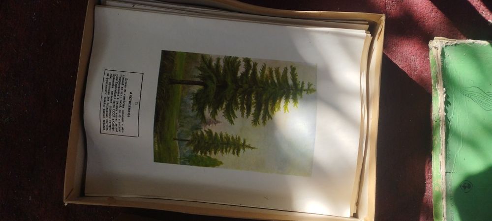 Гербарии наборы школьные