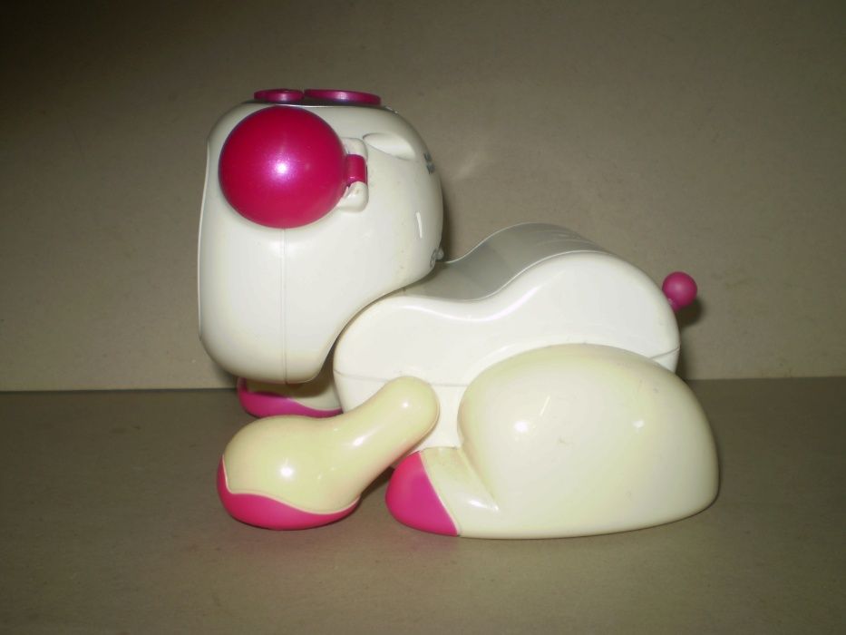 ceas , kididog rose
