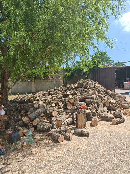 Рязане на дърва 12лв кубик