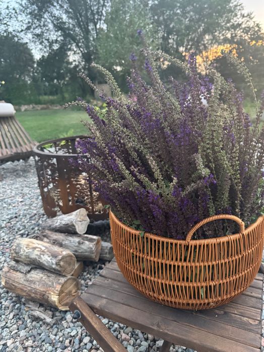 Ландшафтный дизайн