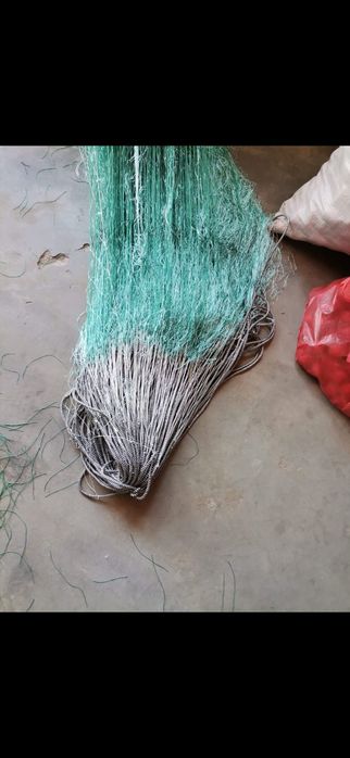 Plasele pescuit diferite modele