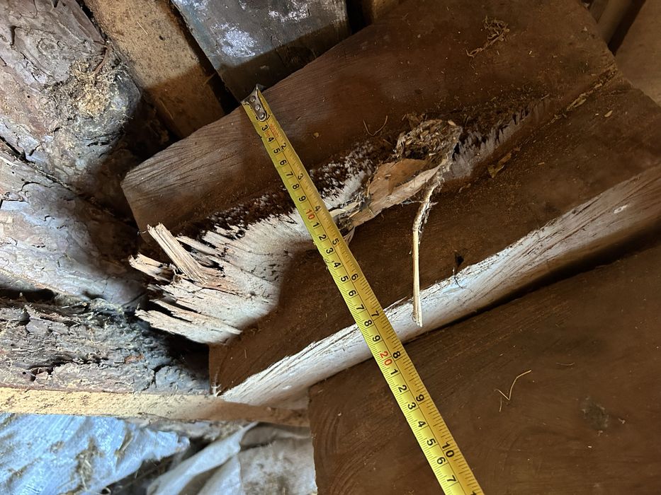 Сух орехов материал