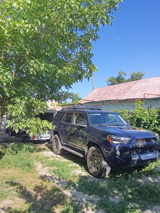 Туры Ассы джиппы