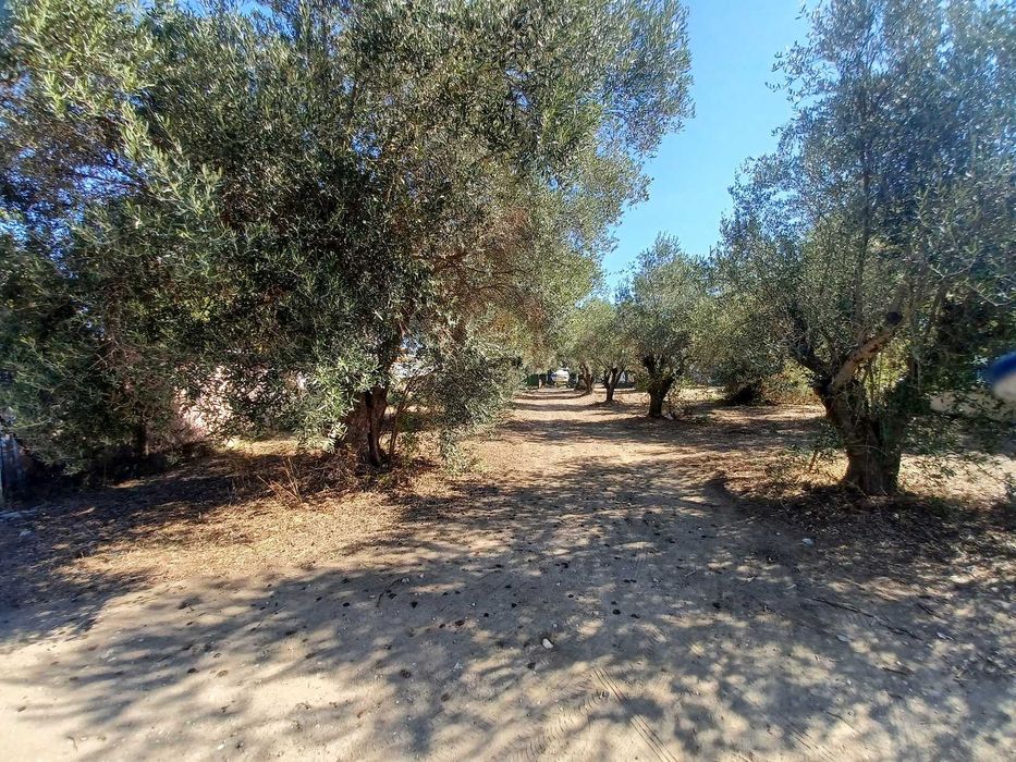 Продава се парцел 461 м2 на 2 улици в регулация в Неа Врасна, Гърция