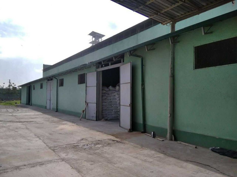 Продаётся мукомольный комбинат.