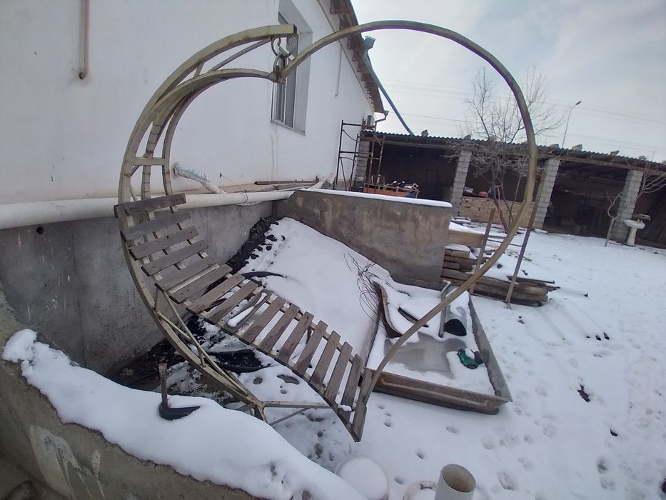 Кочелья садовый .