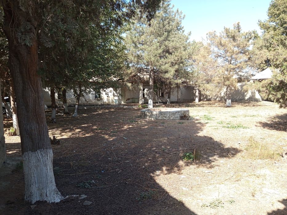 Дом , земельный участок