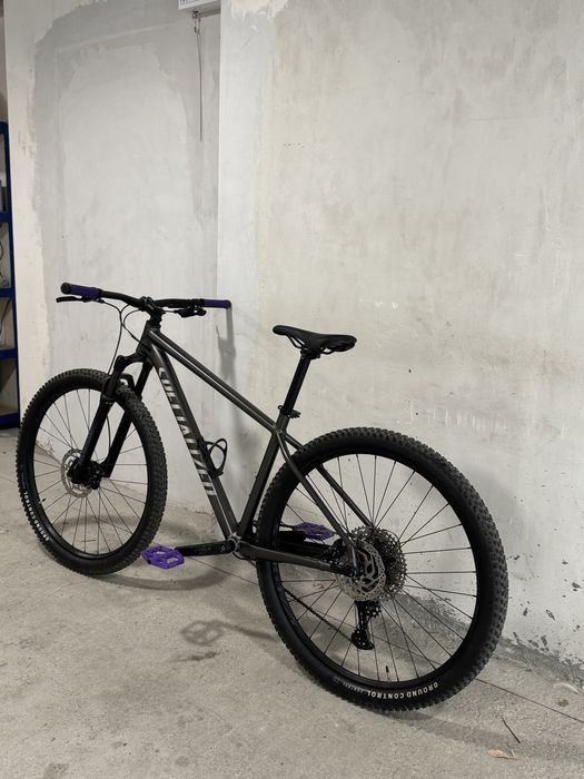 Specialized Rockhopper Expert Smoke