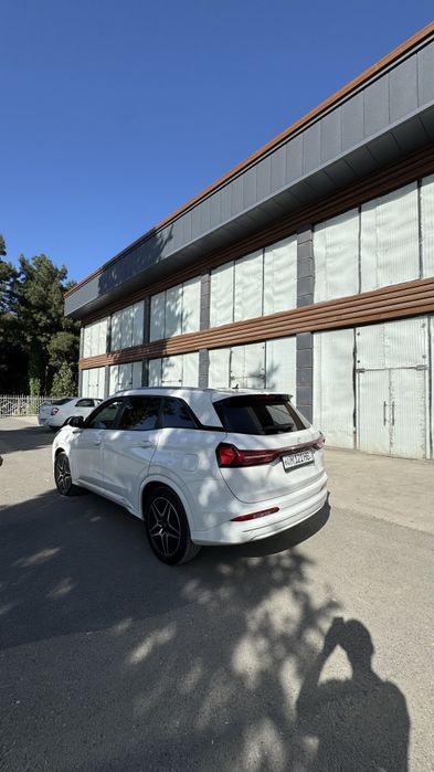 FENGON  S508 elektr+benzin 2024