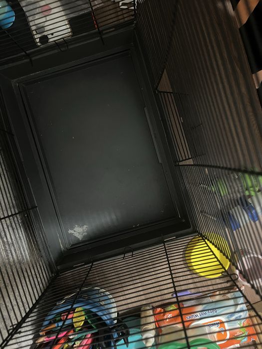 клетка для крысы