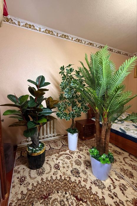 Gullar bo’yi 1,80 m dan 2,1 metr gacha